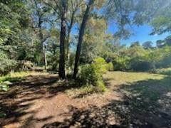 1208 Danbury Road - Photo 1