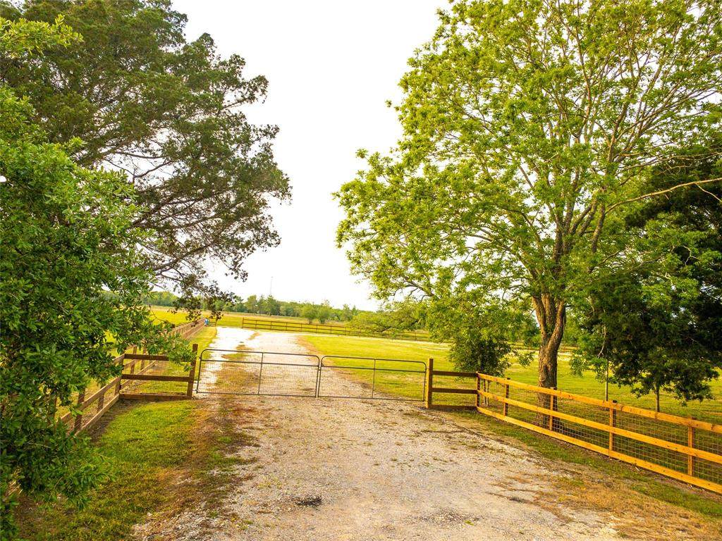 9020 County Road 196 - Photo 1