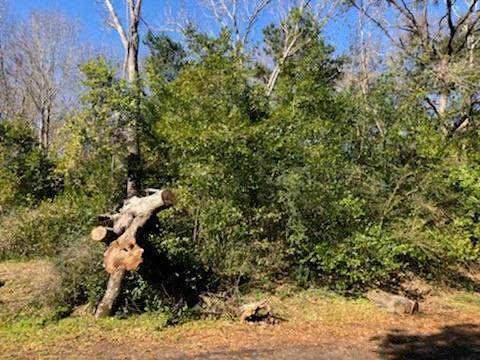 0 Marlin Lot 312 Drive - Photo 1