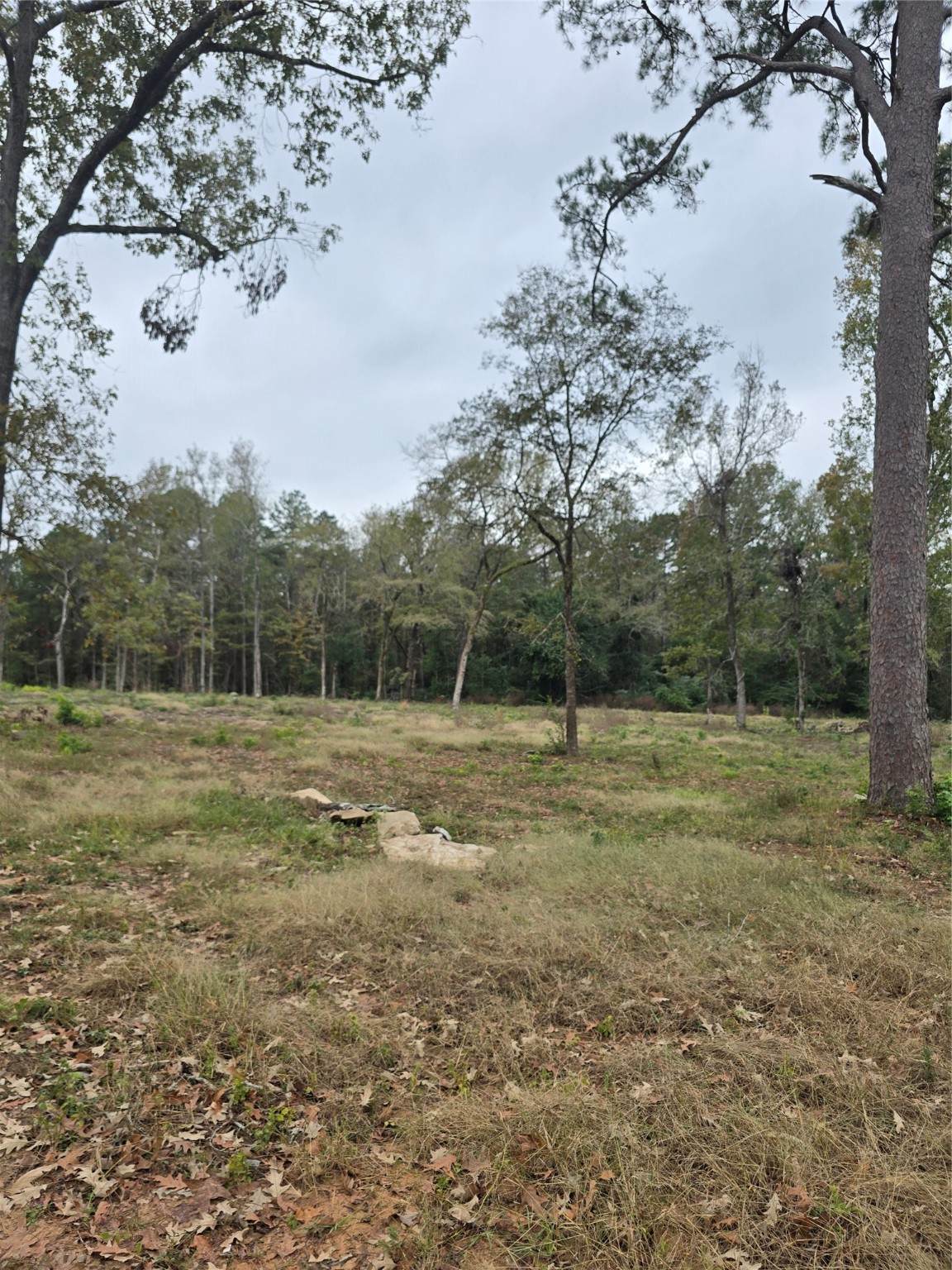 1006 S Houston Avenue - Photo 1