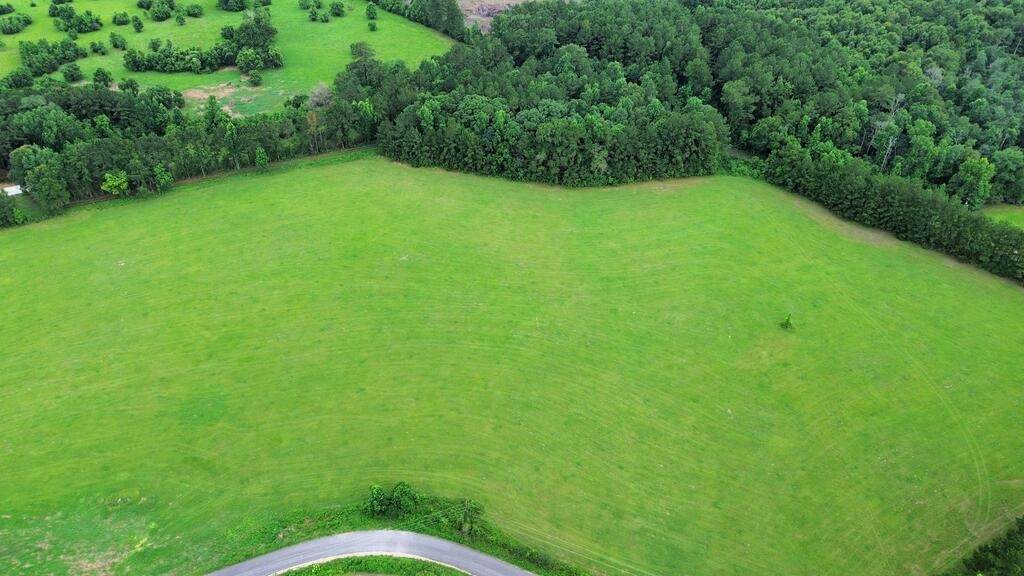 8AC Co Rd 317 - Photo 1