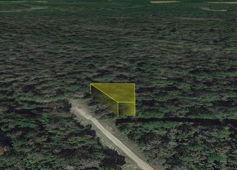 0 County Road 2563 Mona Lisa Lane - Photo 1