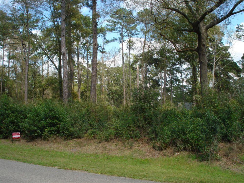 102 River Plantation Drive - Photo 1