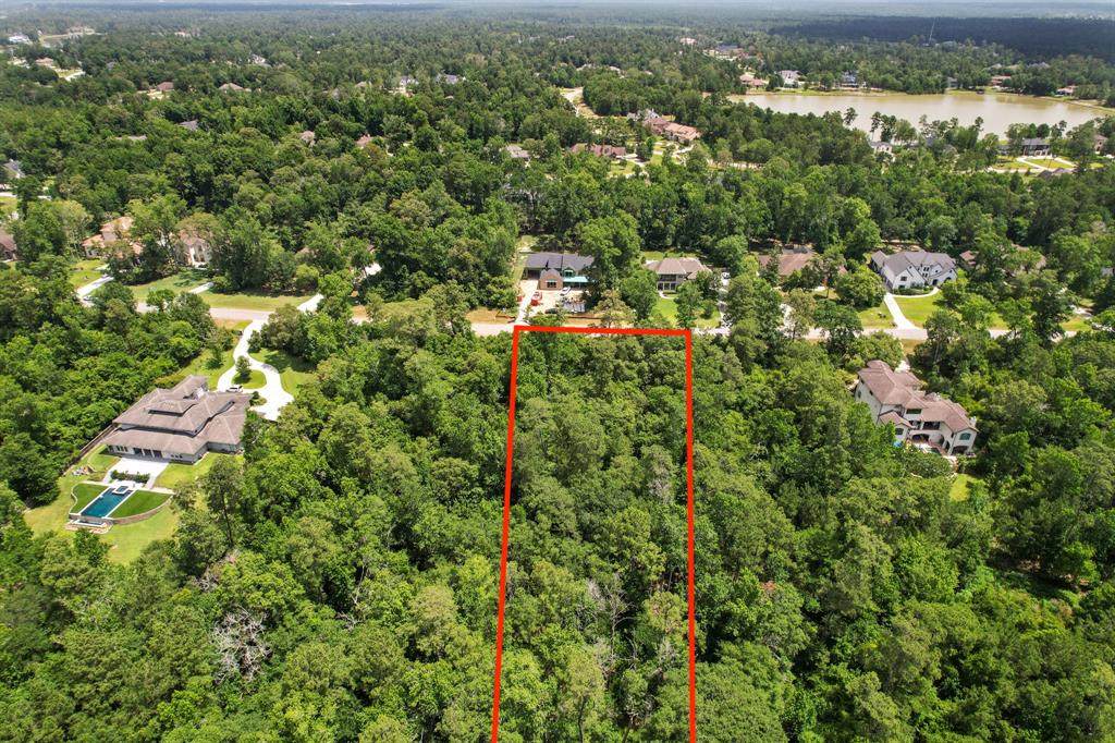 27322 Shady Hills Landing Lane - Photo 1