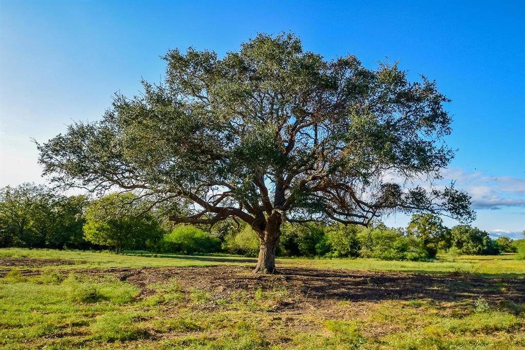 0003 Hwy 90 - Photo 1