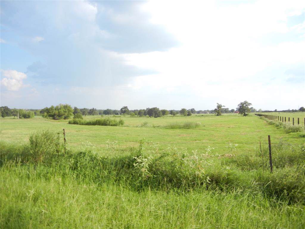 32228 Madeline Rose Lane - Photo 1