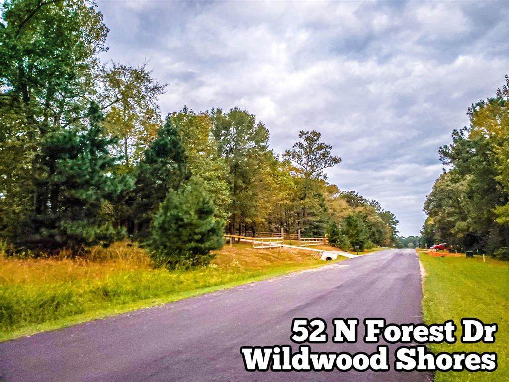 52 Forest Drive - Photo 1