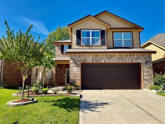 10136 Texas Sage Drive - Photo 1