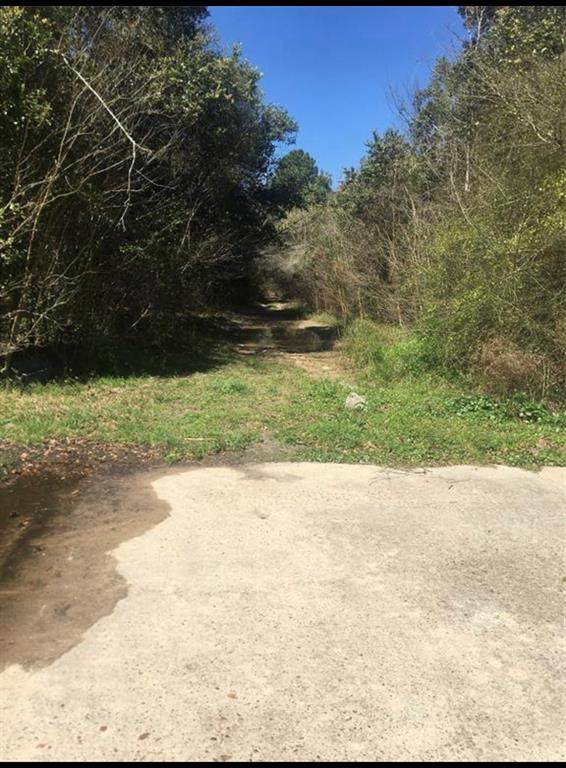 0 Woodway Forest - Photo 1