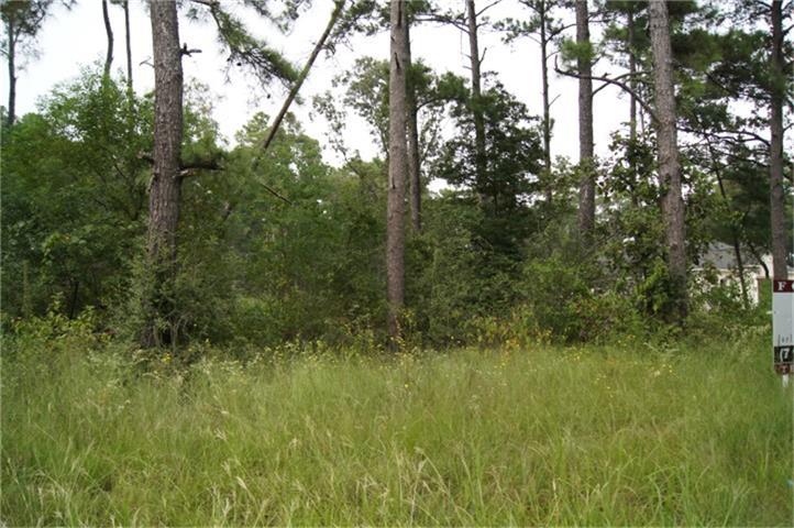 00 Riley Road - Photo 1