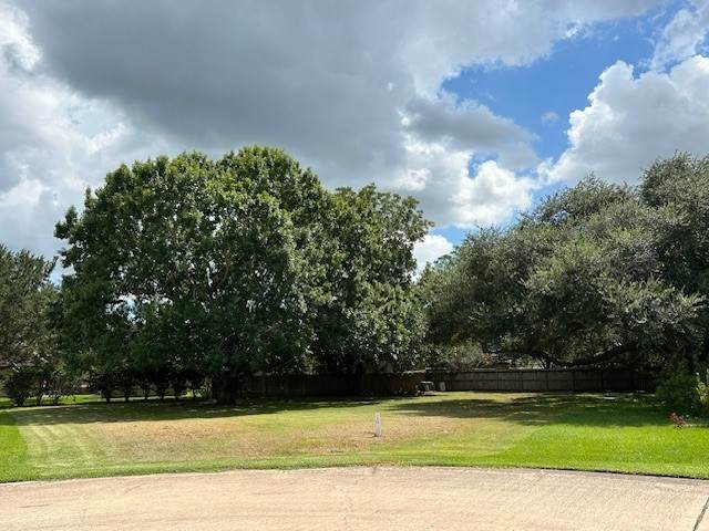 33307 Whiting Street - Photo 1