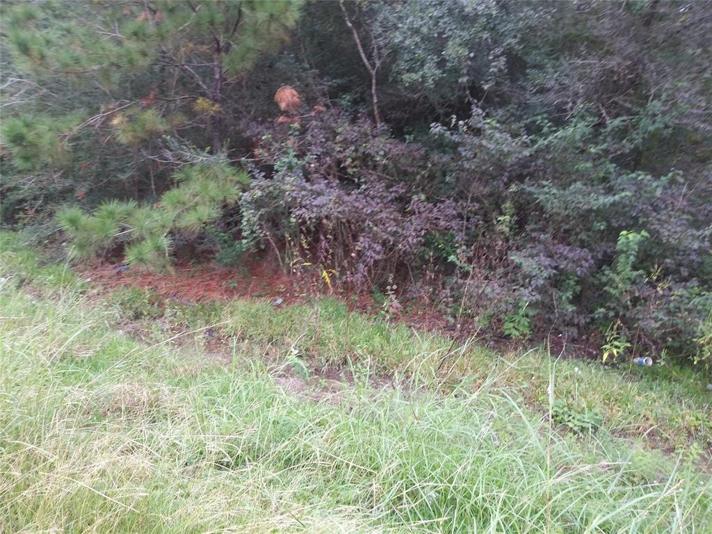 0000 Highland Road - Photo 1