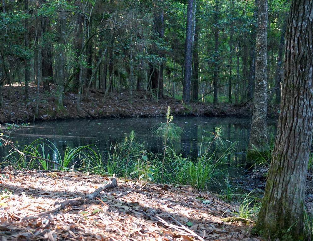4284 Davis Road - Photo 1