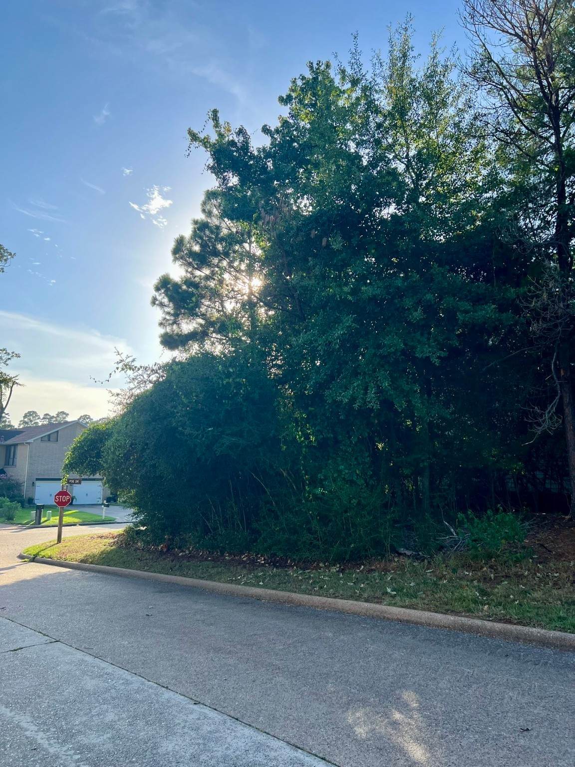 3102 Poe Drive - Photo 1