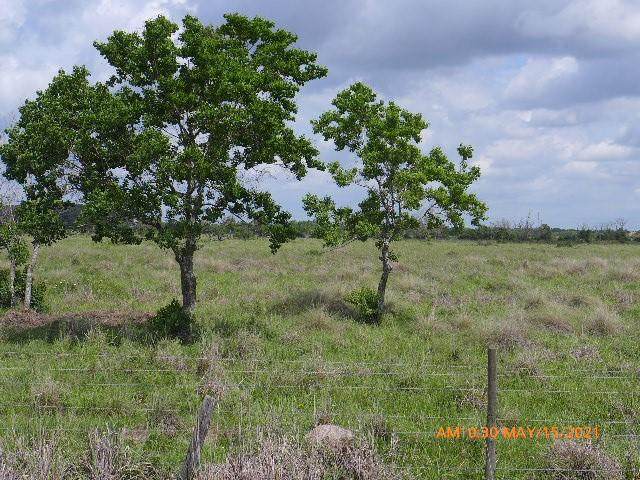 TBD1 Kemp Road - Photo 1