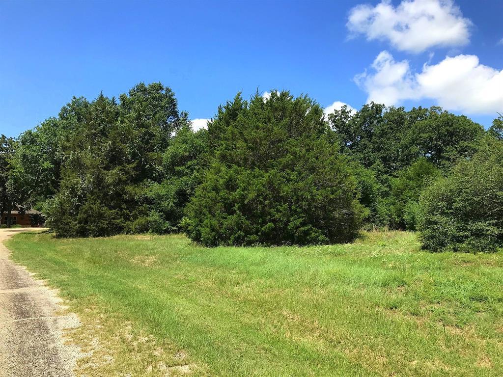 TBD Warrior Lane - Photo 1