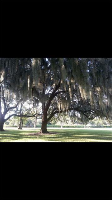 608 Winchester Trl - Photo 1