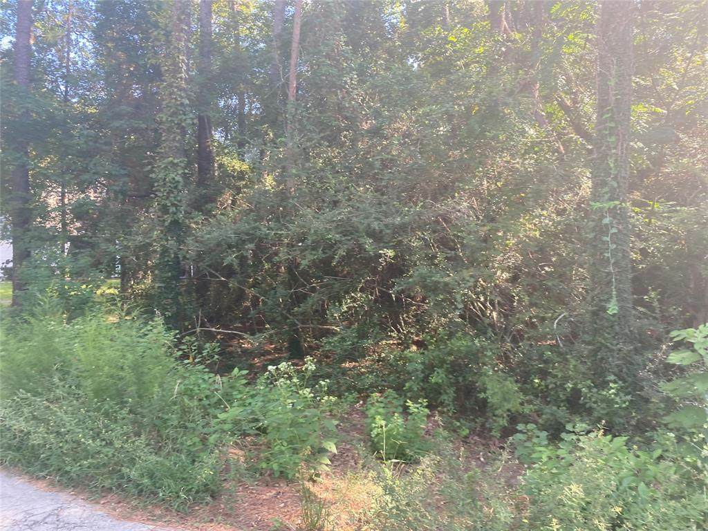 Lot 57 Ponderosa Drive - Photo 1