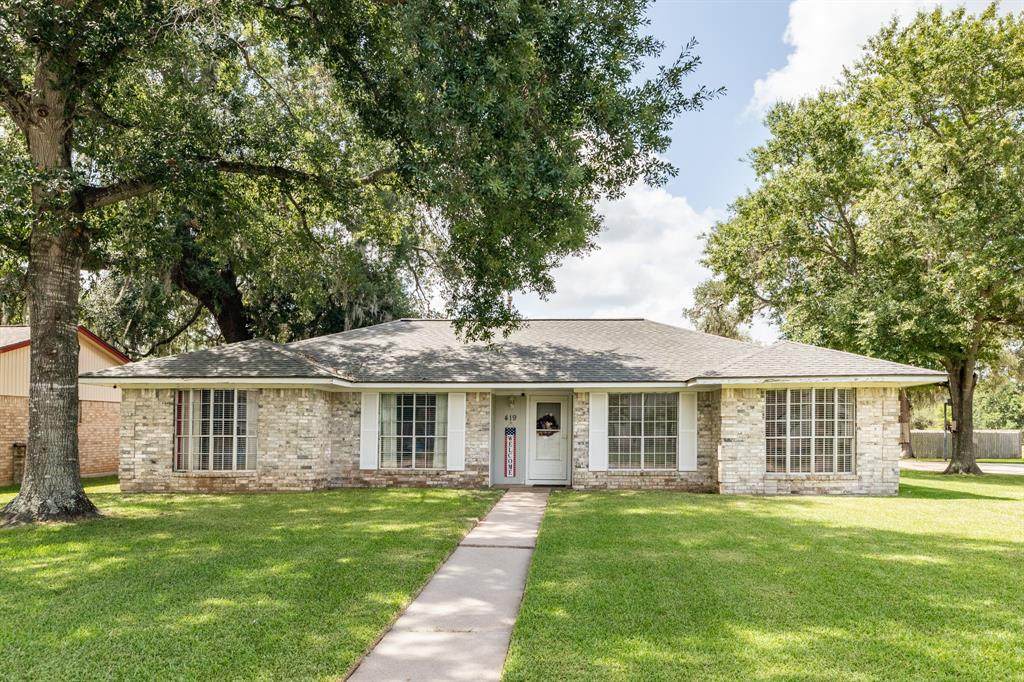 419 Petunia Street - Photo 1