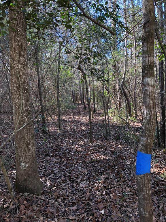 1380 Galahad Loop Road - Photo 1