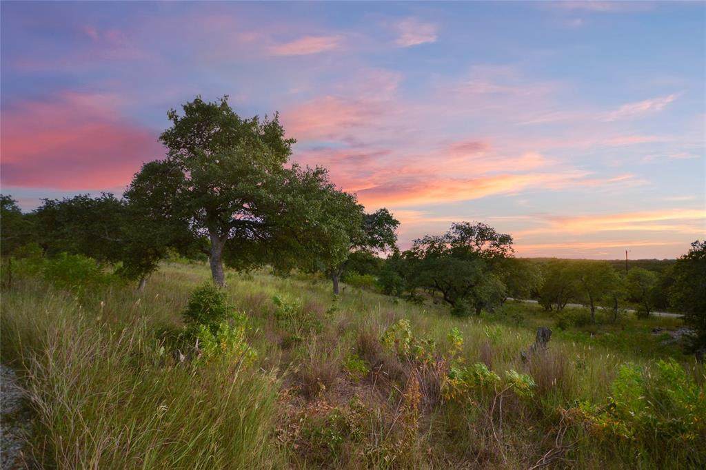 1000 Old Oaks Ranch Road - Photo 1