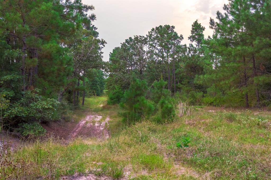 349 Scales Ranch Road - Photo 1