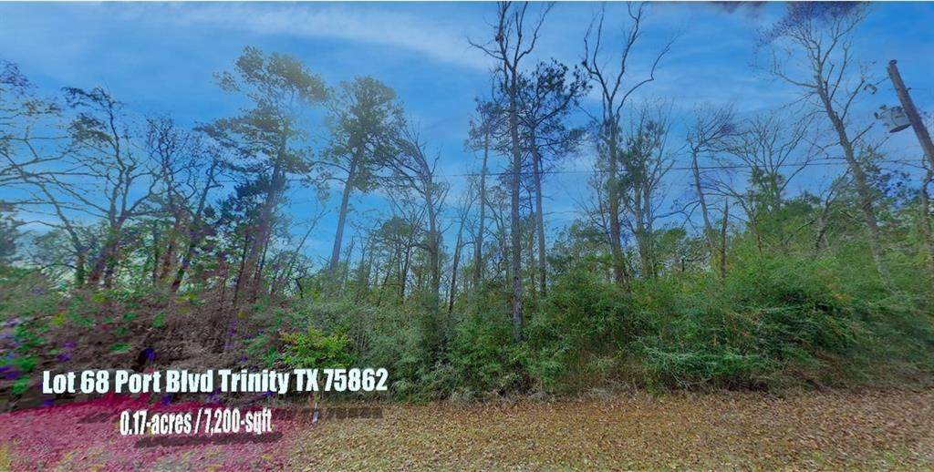 Lot 68 Port Boulevard - Photo 1
