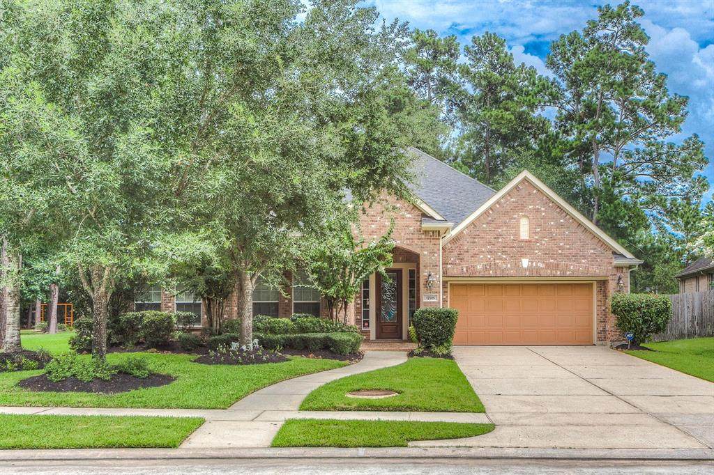 17118 Saddle Mountain Lane - Photo 1