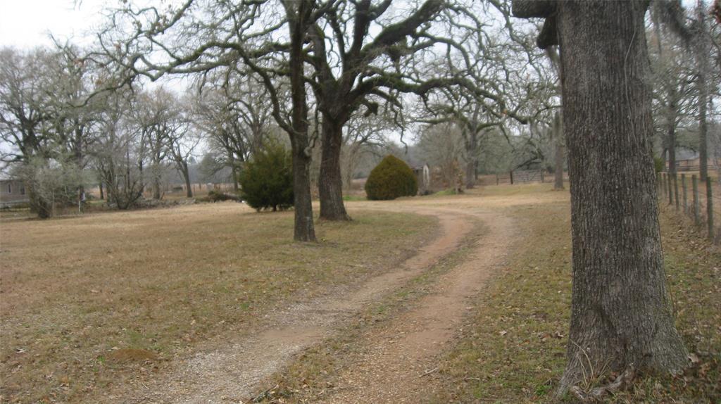 29166 Fm 1736 Road - Photo 1