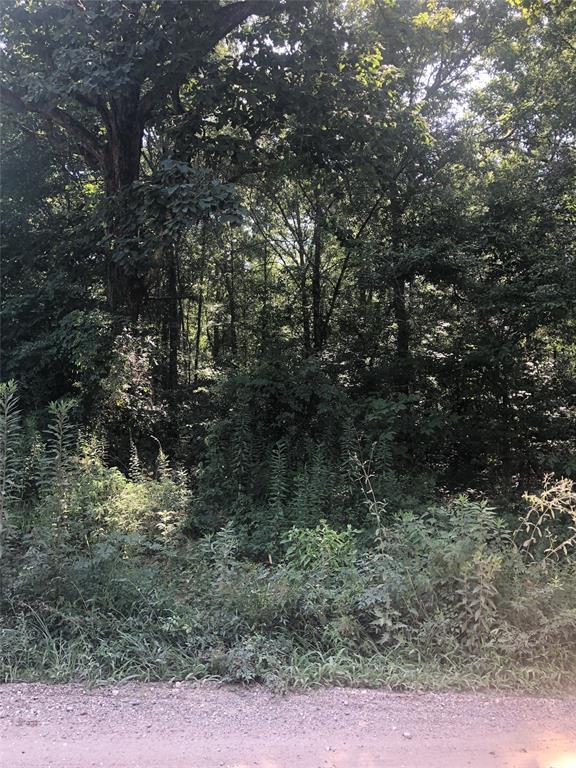 1208 County Road 377 - Photo 1