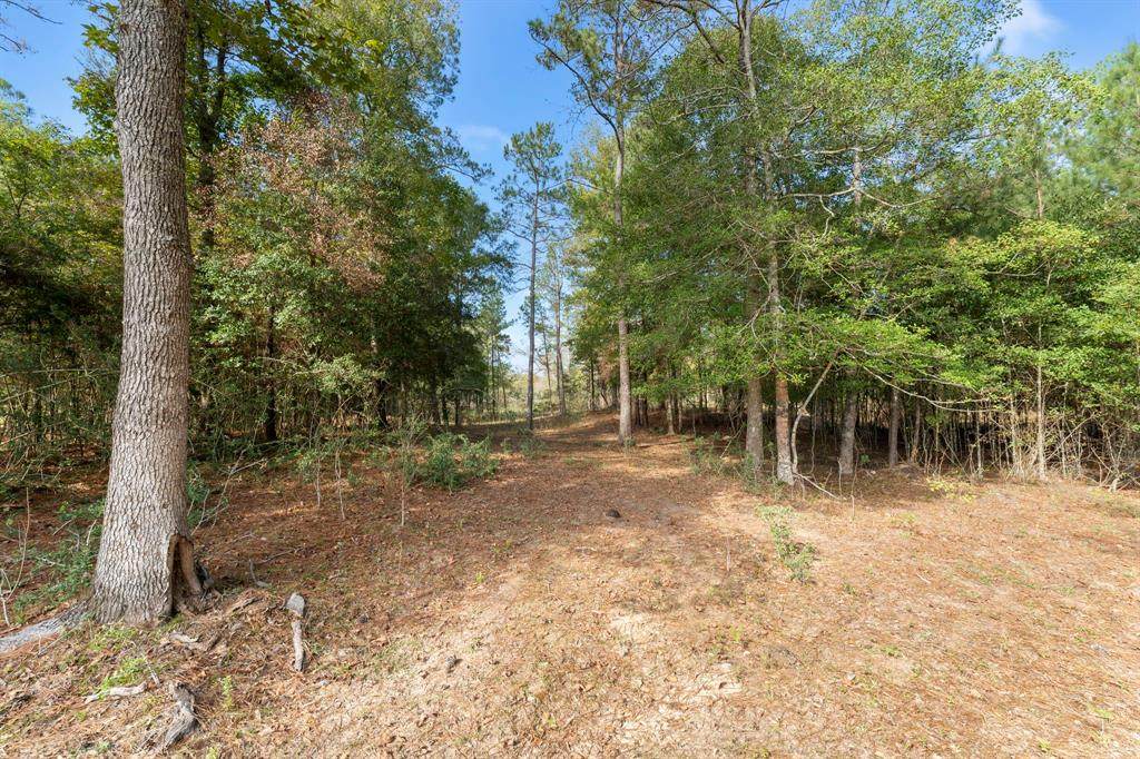 11 AC Coogler Dr - East Lot - Photo 1