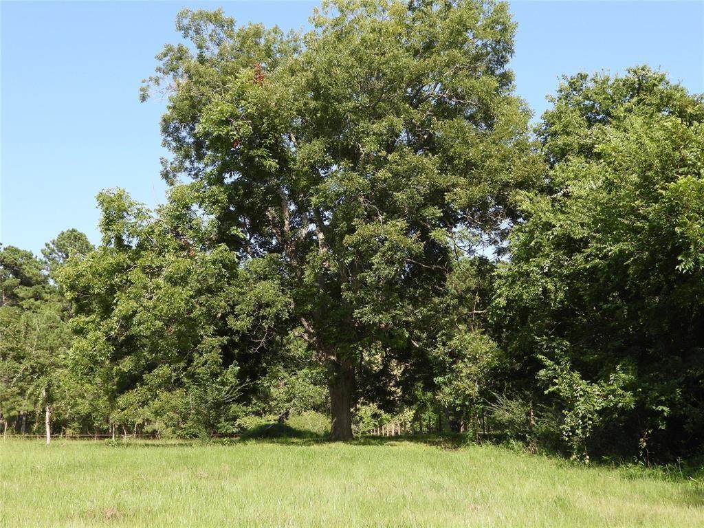 TBD 2 Bethel Road - Photo 1