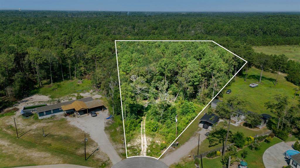 23501 Cranefly Lane - Photo 1