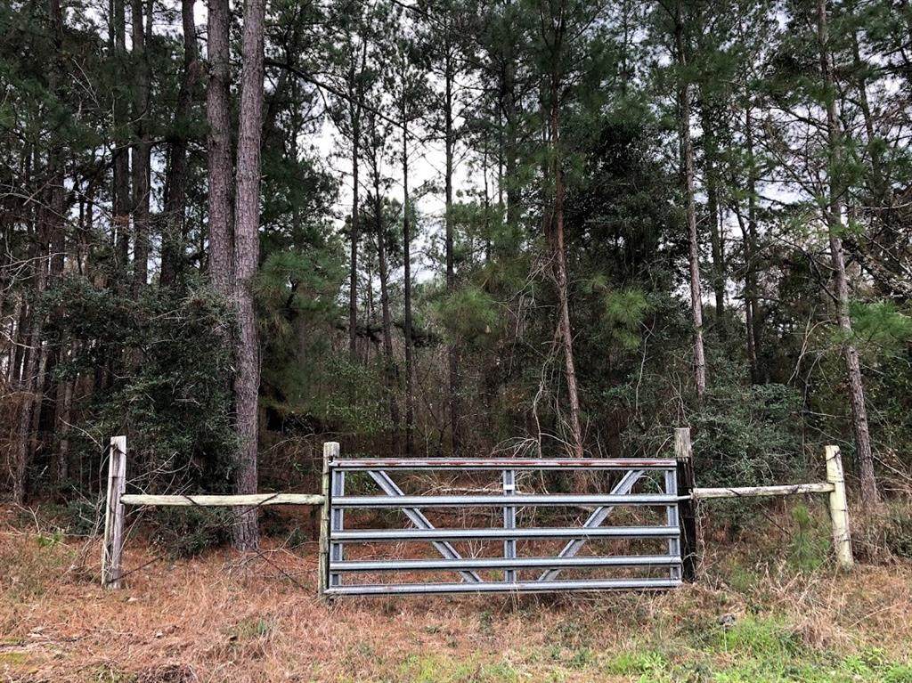 0 Hwy 30 Tract 2 - Photo 1