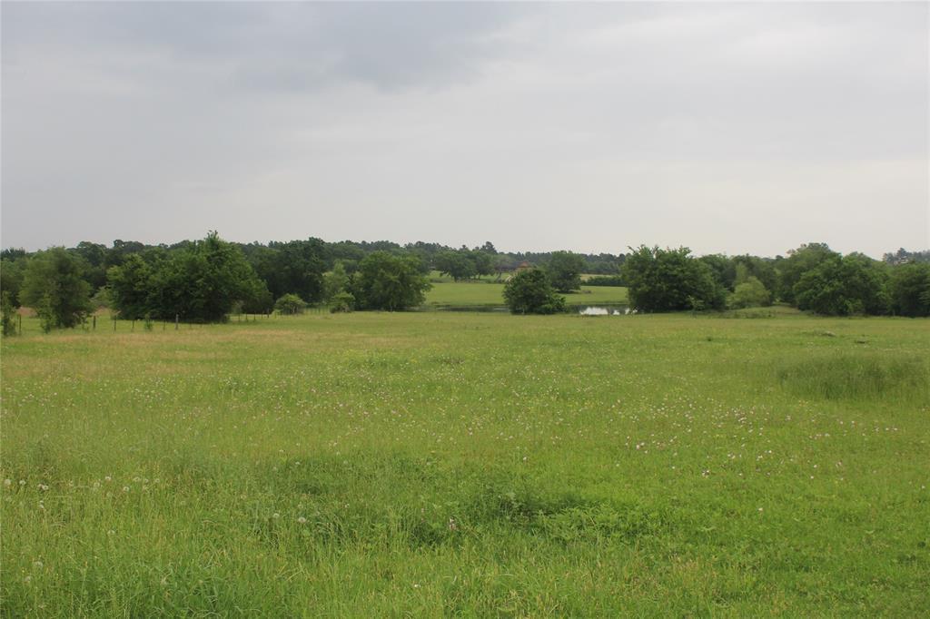 000 Wyatt Road - Photo 1