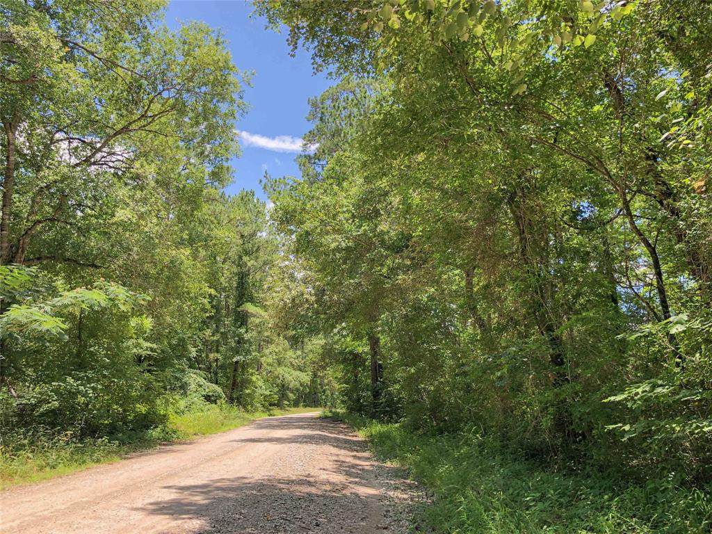 0000 Rosenwall Road - Photo 1