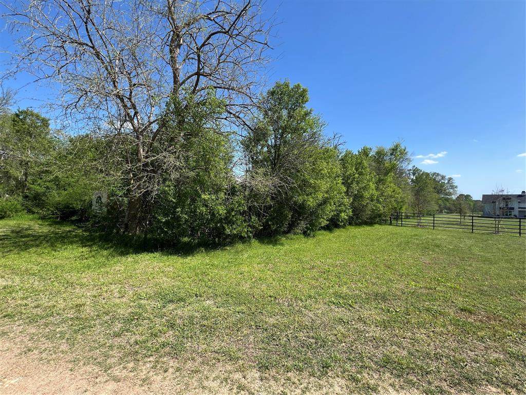 Lot #1 Cr 218 Road - Photo 1