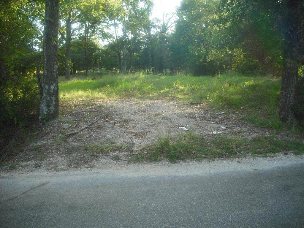 00 Roy Webb Road - Photo 1