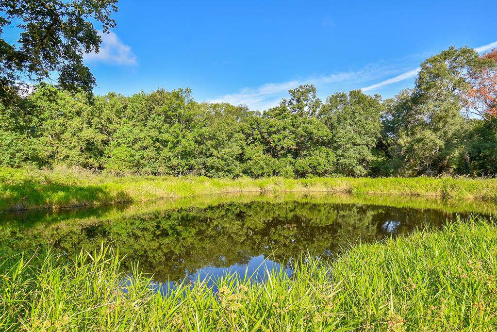 20820 Forest Road - Photo 1