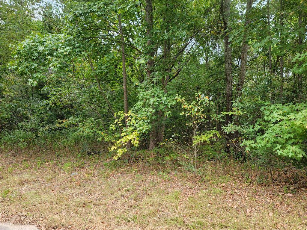 230 Harris Street - Photo 1