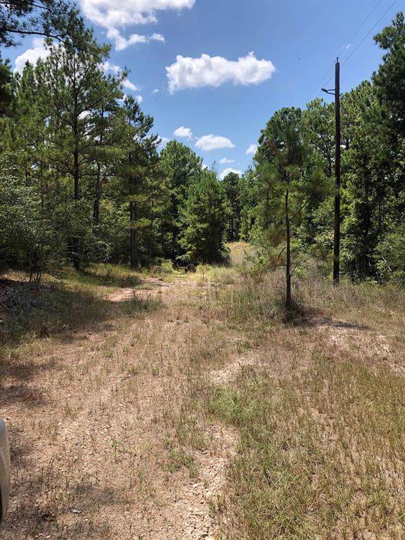 00 Hibbits Lane - Photo 1