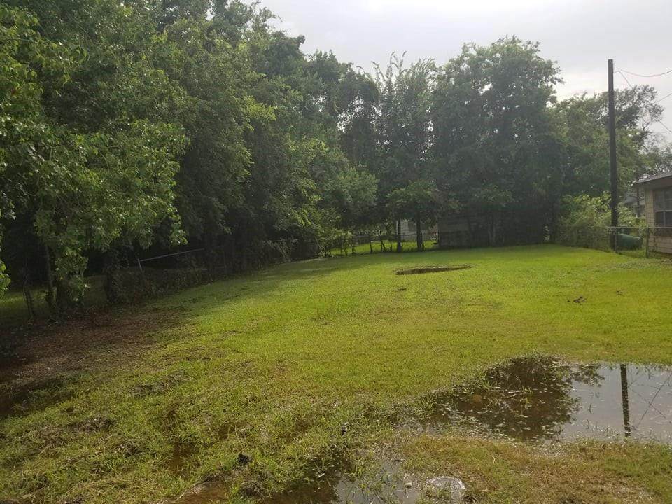 2109 Sam Wilson Street - Photo 1