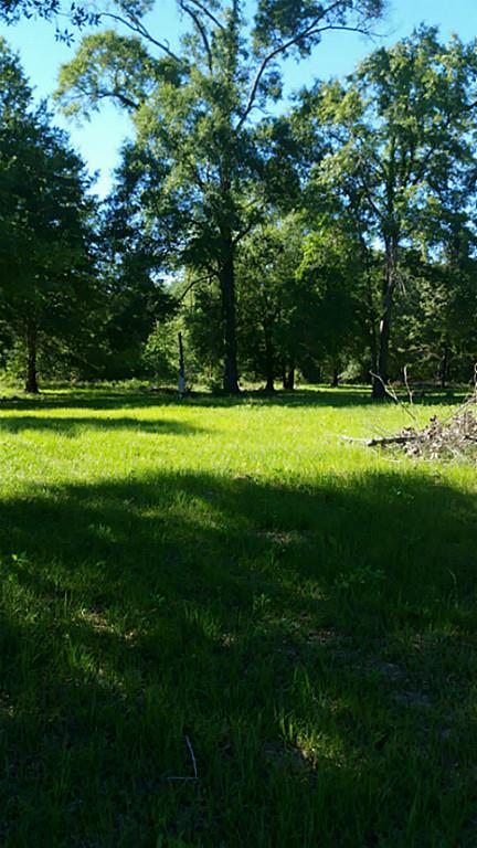 508 County Road 320 - Photo 1