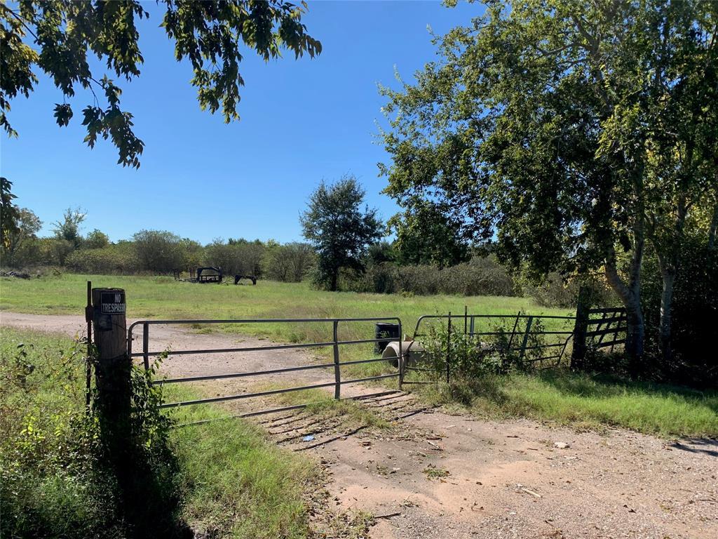 35203 Repka Road - Photo 1