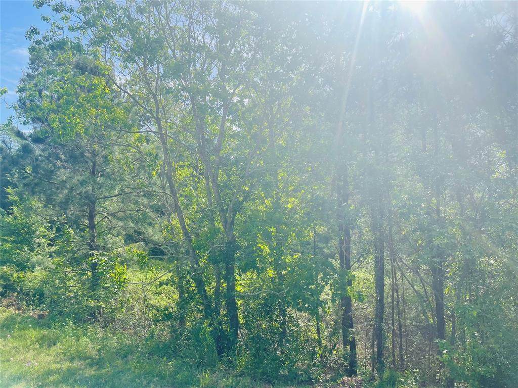 401 Harbors Edge Lane - Photo 1