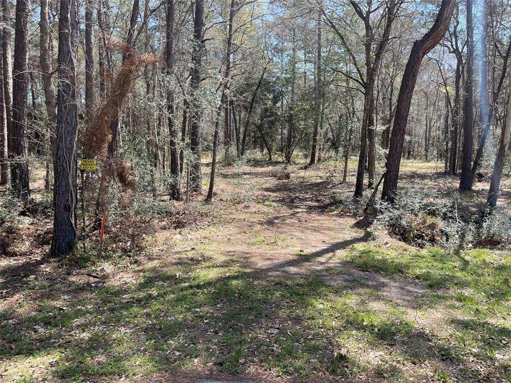 TBD2 Dan Circle - Photo 1