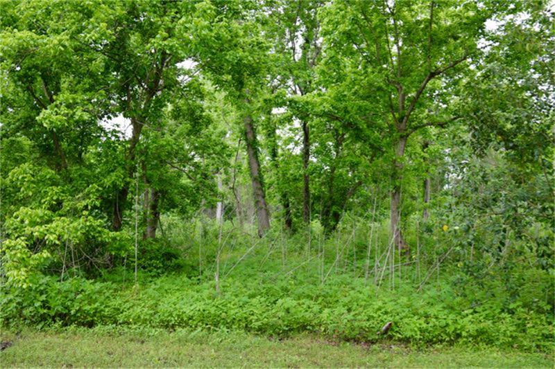 13333 N Hwy 75 - Photo 1