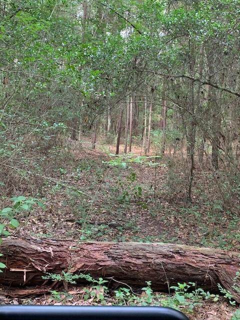 0467 Reynolds George Tract 2-A - Photo 1