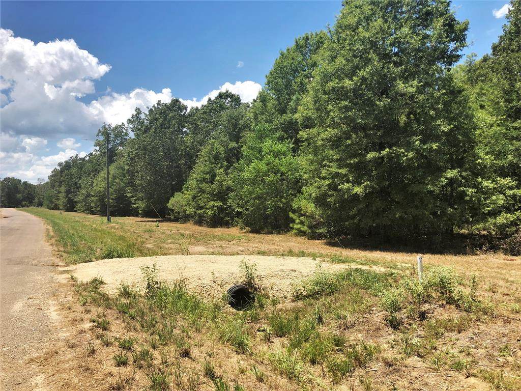 Lot 16 Somerset Trail - Photo 1
