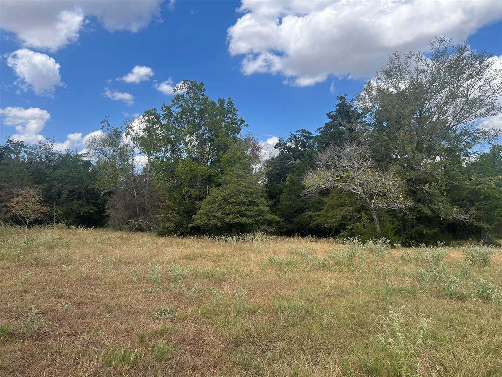 27141 Rock Island Road - Photo 1
